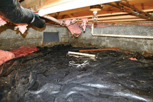 Crawl Space Repair Before in Albany