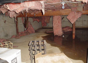 fiberglass insulation dripping off the ceiling of a crawl space in Schenectady.