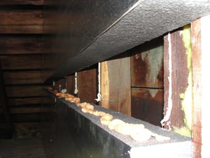 An effective attic insulation system in a Wayne home