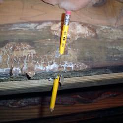 A floor joist with severe mold damage in West Harrison