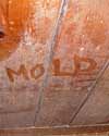The word mold written with a finger on a moldy wood wall in New Rochelle