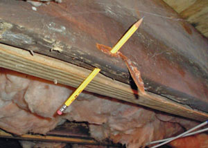 Destroyed crawl space structural wood in West Harrison