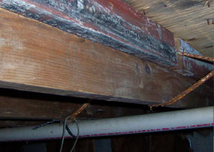Rotting, decaying wood from mold damage in Waccabuc